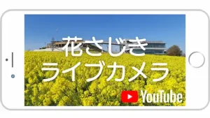 あわじ花さじき ライブカメラ