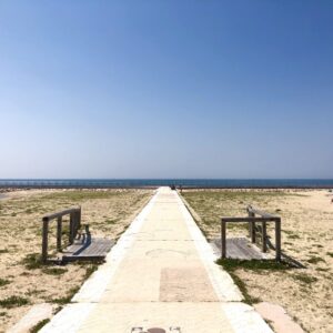 多賀の浜海水浴場のT字型防波堤