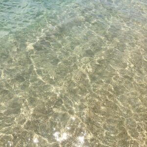 阿万海岸海水浴場 水の透明度