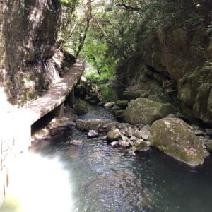 鮎屋の滝への山道