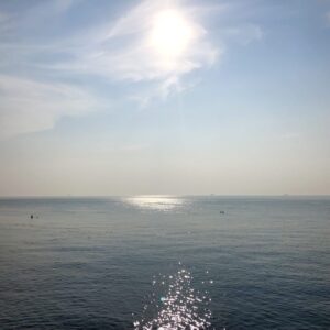 クラフトサーカスから見える海の景色