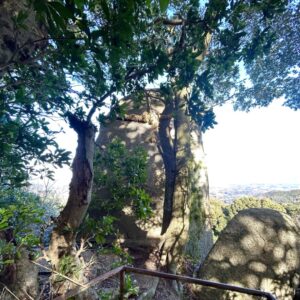 岩上神社 - 神籬石（ひもろぎいし）