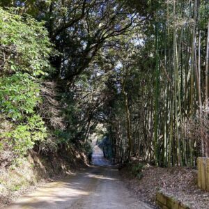 岩上神社 - 神籬石（ひもろぎいし）への山道